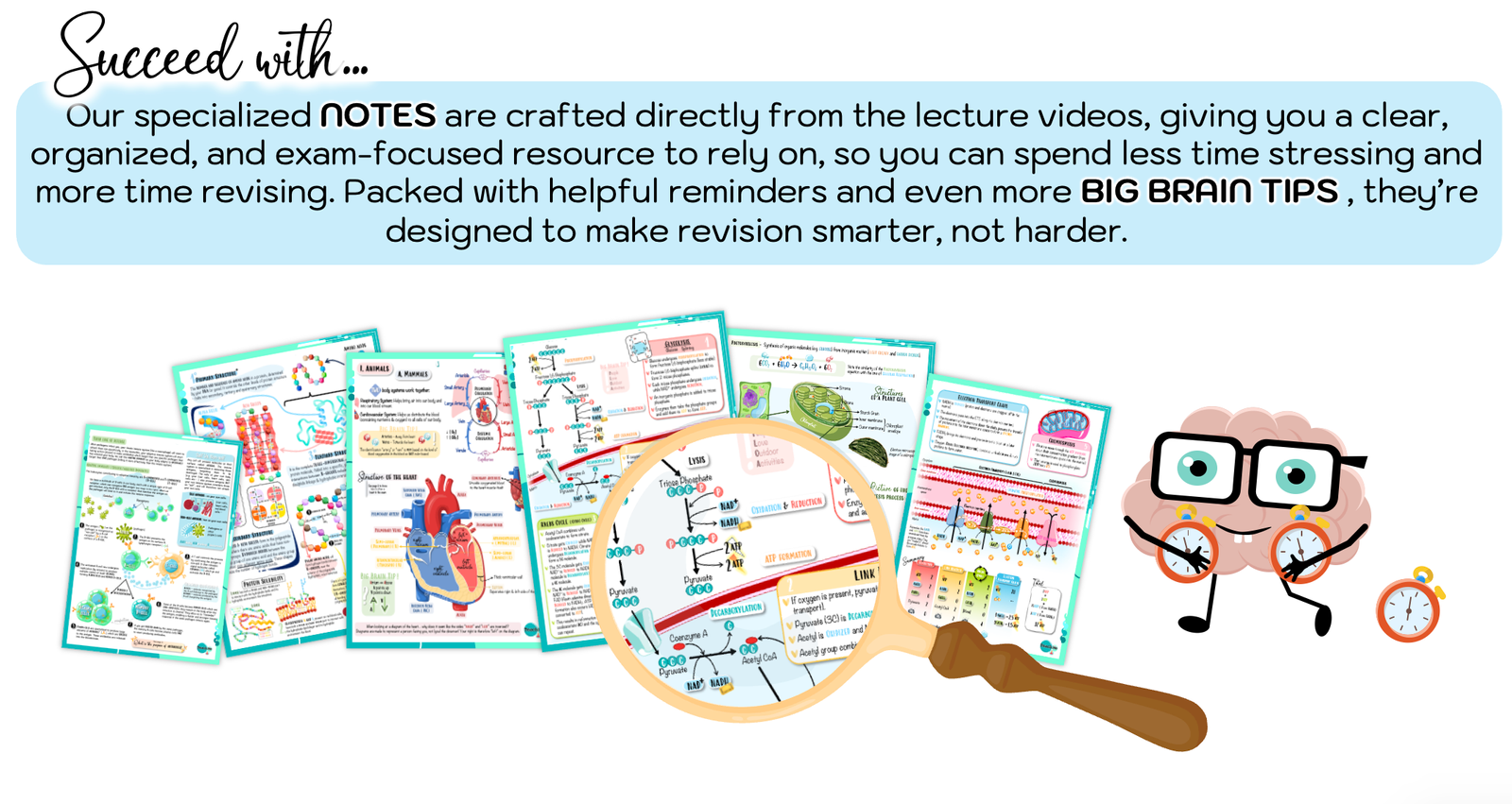 Screenshot 2026-01-24 at 09.23.10