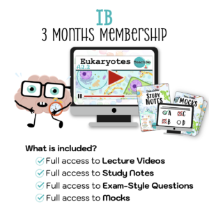 IB 3 Months
